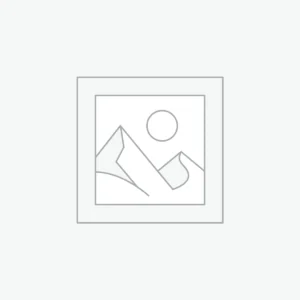 Services PlayStation 1